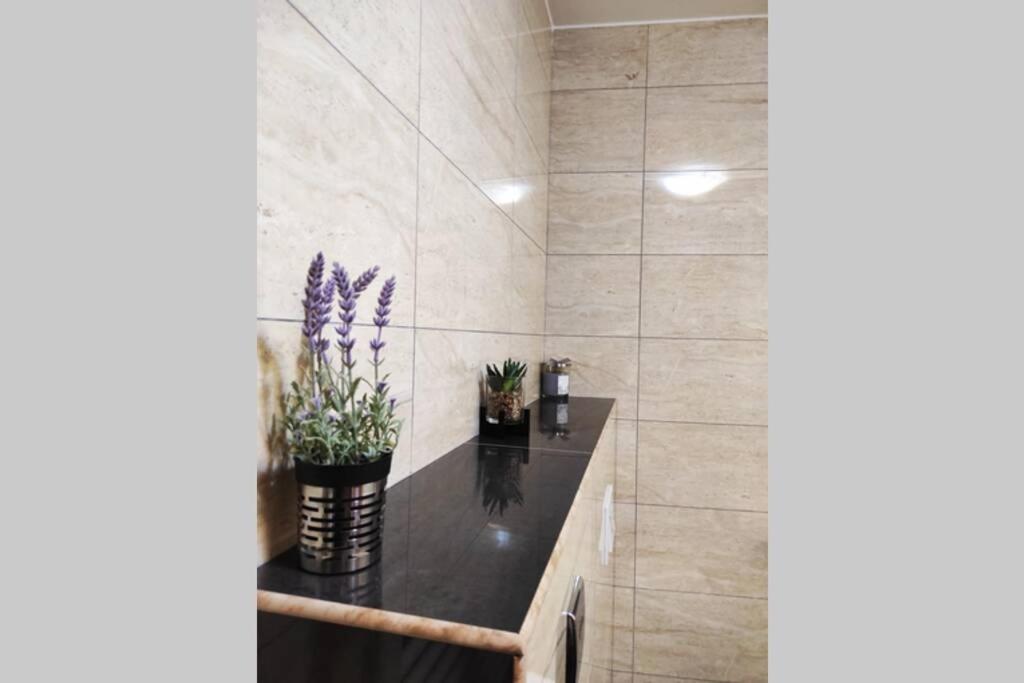 Spacious Apartment Near City Center And The Beach Split Zewnętrze zdjęcie