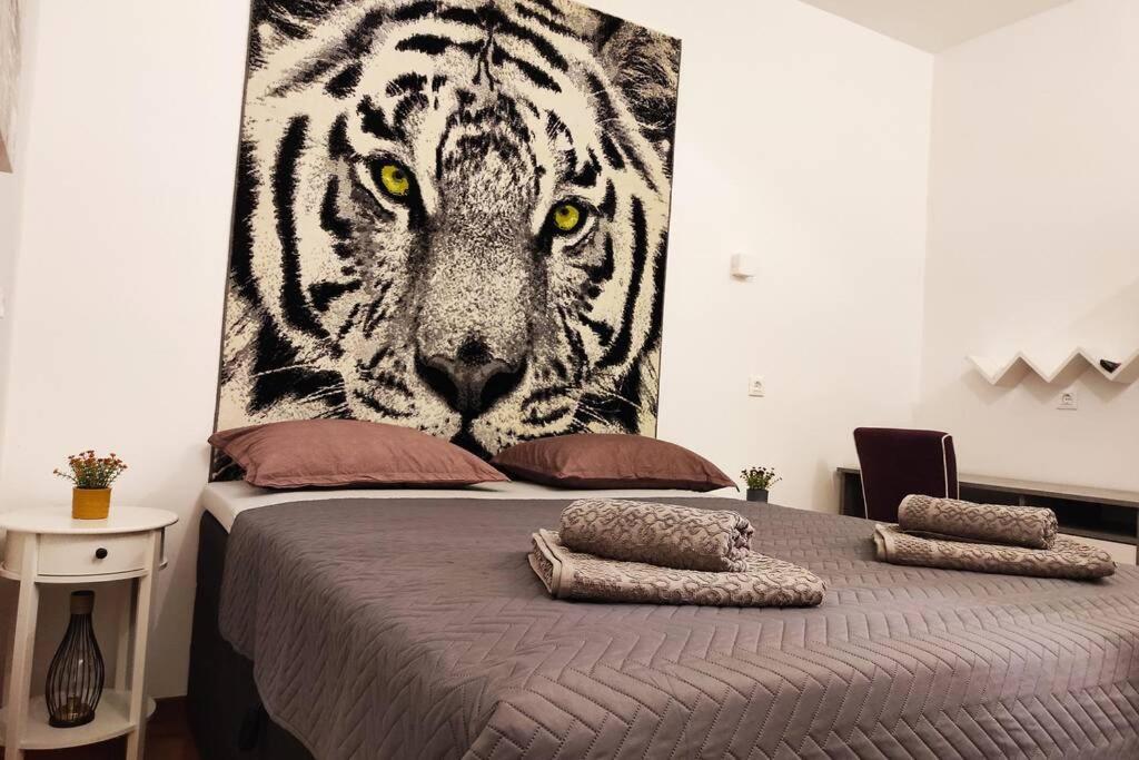 Spacious Apartment Near City Center And The Beach Split Zewnętrze zdjęcie